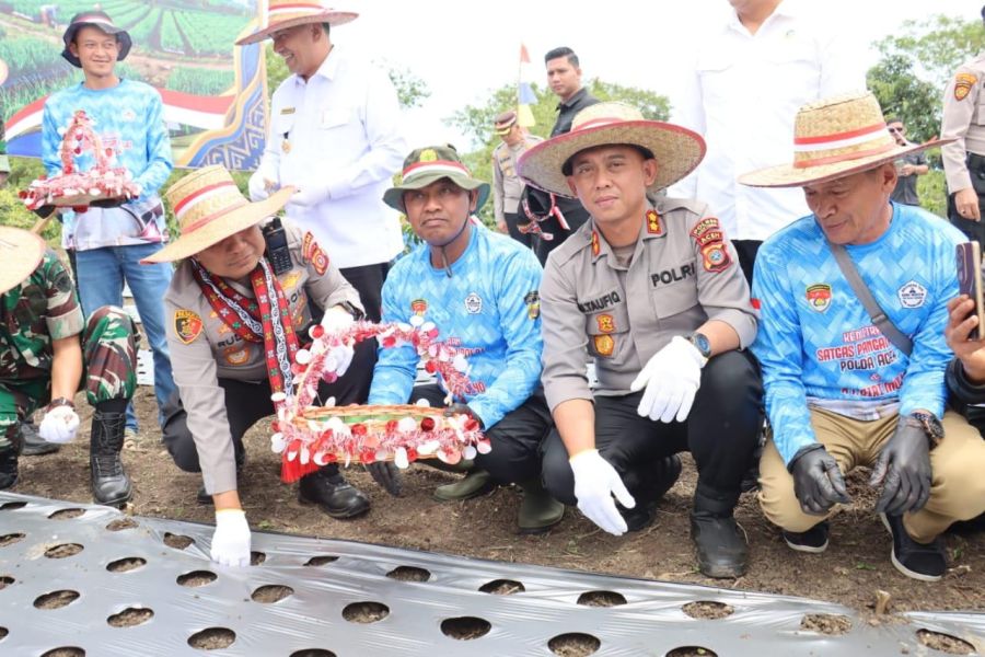 Dukung Swasembada Pangan, Polda Aceh dan Polres Aceh Tengah Tanam Bawang Putih, Serta Salurkan Ratus