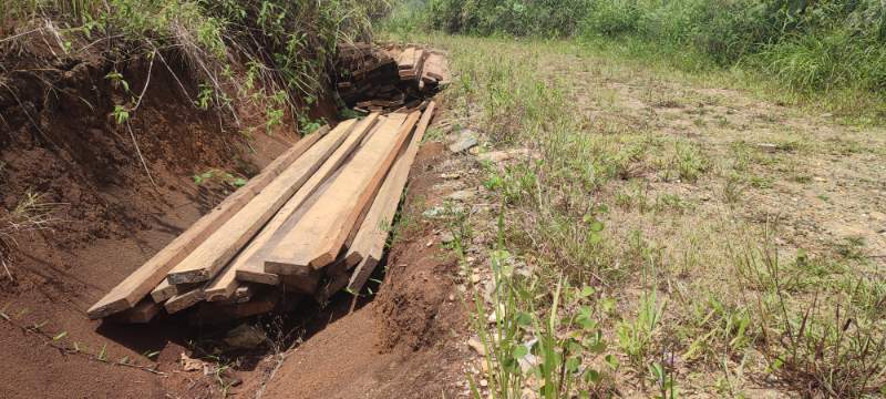 Ilegal logging, Puluhan Keping Kayu Terkapar Dipinggir Jalan, Diduga Pemiliknya Para Siluman