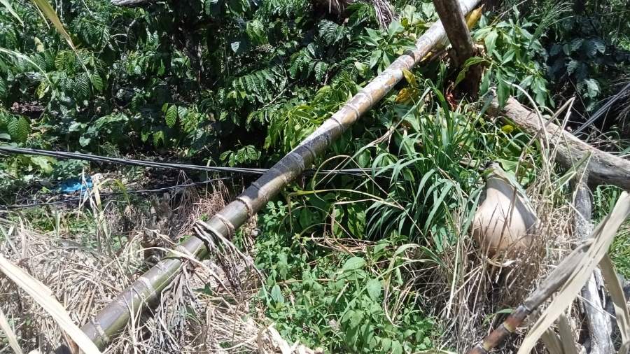 Kabel Listrik Ke Timpa Pohon Belum Diperbaiki Oleh PLN Di Kampung Reronga
