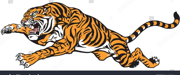 Sibuk Perbaiki Air Bersih, Seorang Warga di Samar Kilang Nyaris Diterkam Harimau Liar
