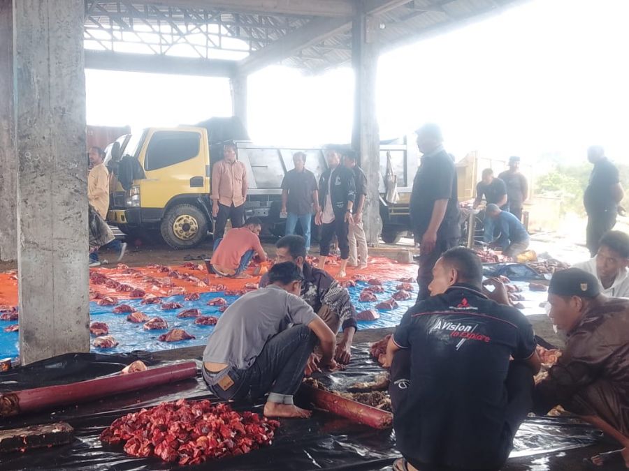 Luar Biasa, Ilmijan Pengusaha Muda Asal Bener Meriah Kurban 1 Ekor Sapi Berat 300Kg