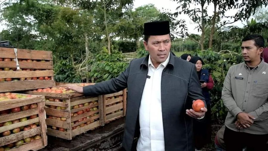 Pj. Bupati Drs. Haili Yoga, M.Si Tinjau Kebun Tomat Program Bantuan Kemiskinan Ekstrem 