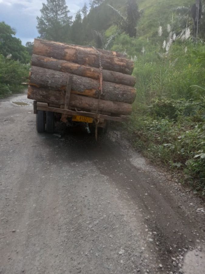 Truk Pembawa Kayu Gelondongan Membahayakan Pengguna Jalan
