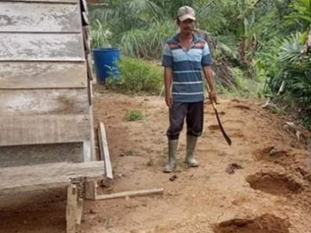 Karena Amukan Gajah, Puluhan Warga Nagan Raya Aceh Mengungsi 